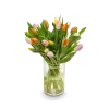Kytice  tulipánů